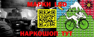 спиды Гагарин