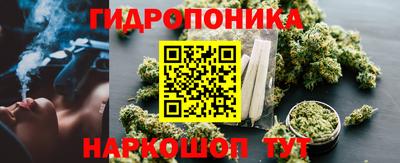 кокс Гатчина