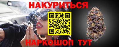 кокс Гатчина