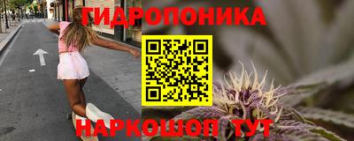 спиды Гагарин