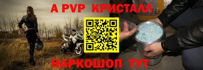кокс Гатчина